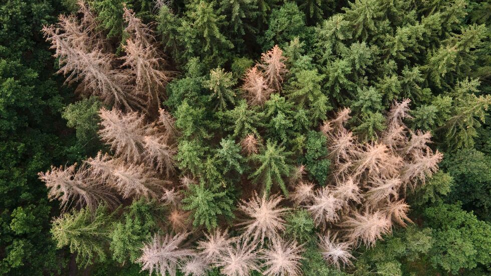 In der Sächsischen Schweiz ist ein Mann bei einer Totenehrung gestorben. (Archivbild) In der Sächsischen Schweiz ist ein Mann bei einer Totenehrung gestorben. (Archivbild)