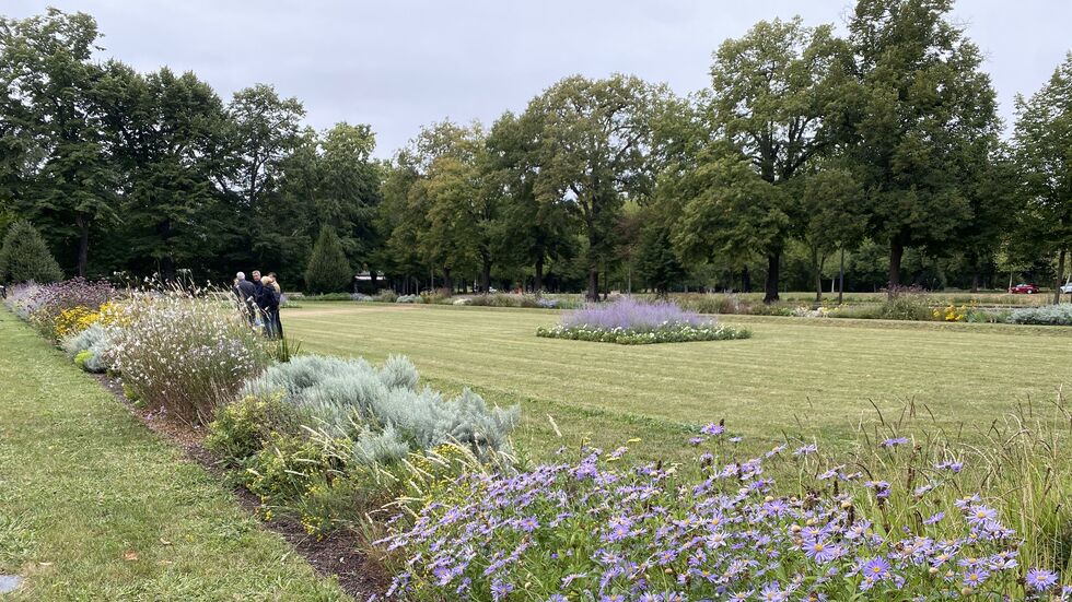 So eine schöne Grünfläche wie hier im Clara-Zetkin-Park sollte einst auch in Seehausen entstehen (Symbolbild).