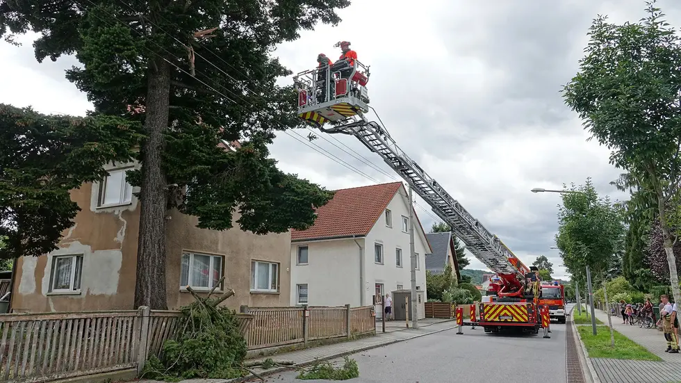 Auf der Gartenstraße war ein Ast in eine Stromleitung gefallen Auf der Gartenstraße war ein Ast in eine Stromleitung gefallen