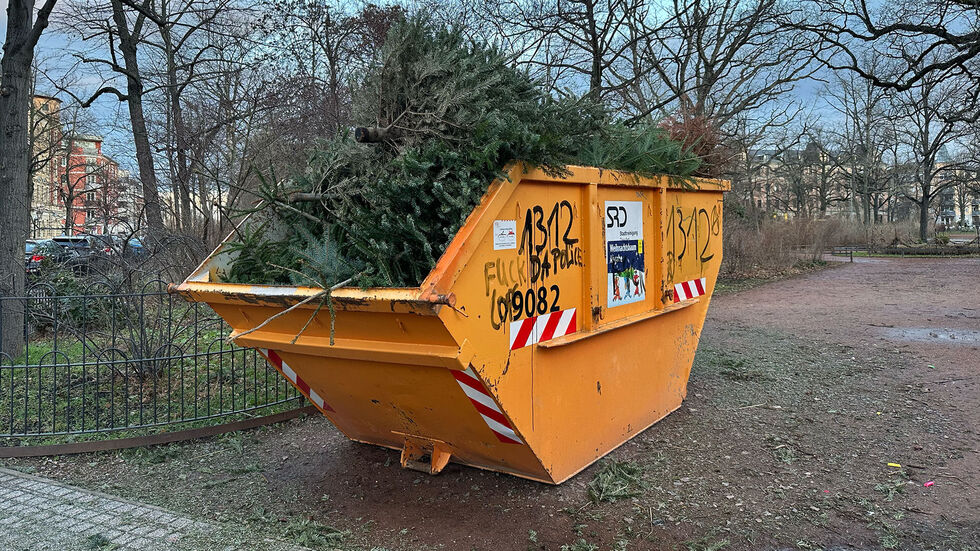 Ein Container mit vollen Weihnachtsbäumen.