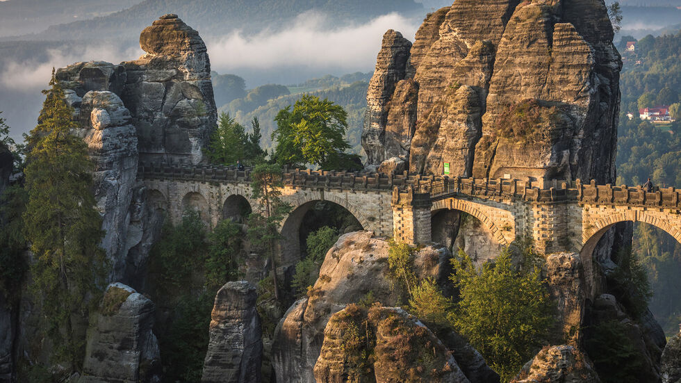 Bei einem Ausflug in der Sächsischen Schweiz aß ein Mädchen vom giftigen Fingerhut. (Symbolbild) Bei einem Ausflug in der Sächsischen Schweiz aß ein Mädchen vom giftigen Fingerhut. (Symbolbild)