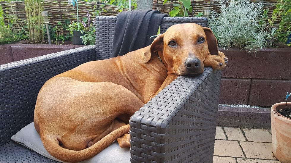 Symbolbild Symbolbild