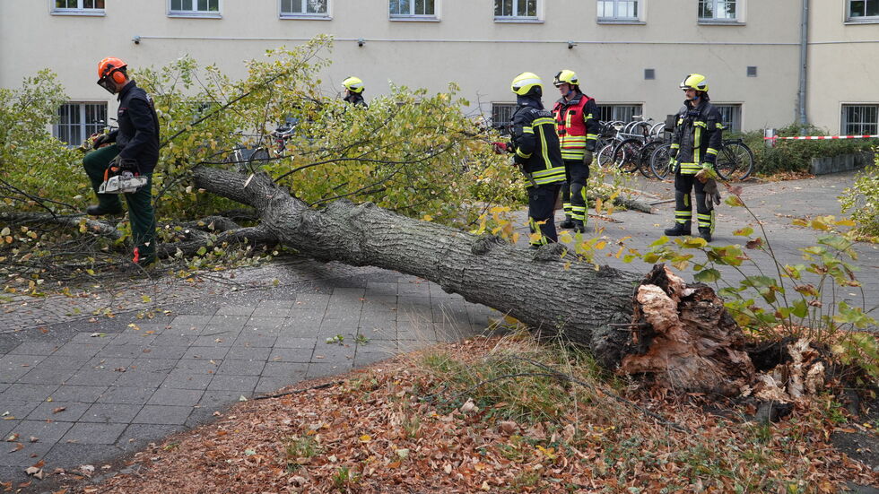 Feuerwehrleute sind angerückt, um den Baum wegzuräumen.