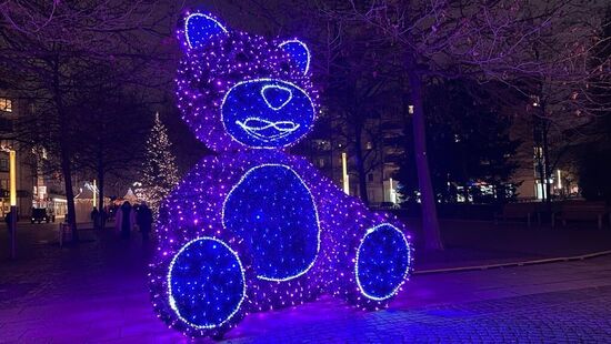 Der lilafarbene Glitzerteddy.