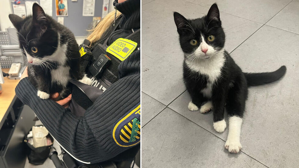 Eine Polizistin mit der Katze.