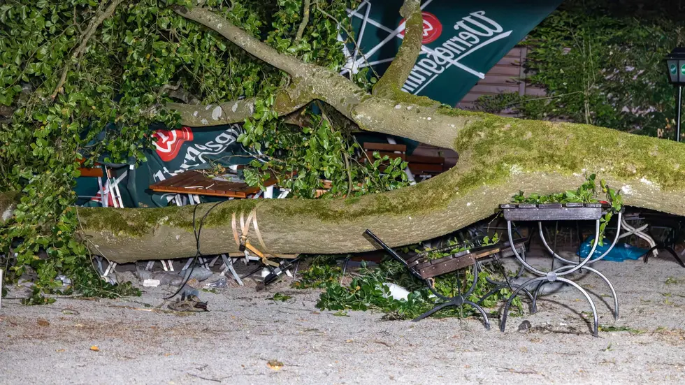 Der Biergarten war zum Zeitpunkt des Unglücks gut besucht. Der Biergarten war zum Zeitpunkt des Unglücks gut besucht.