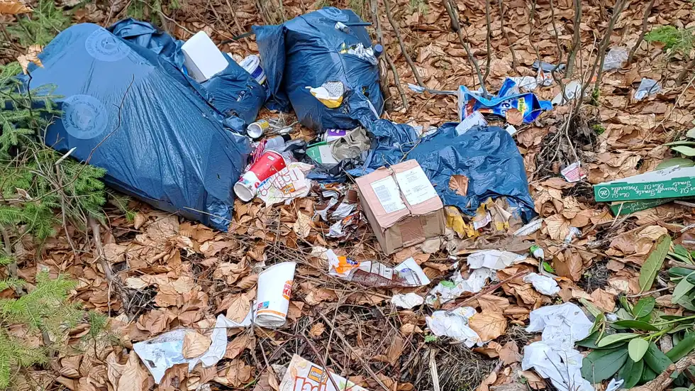 Am Abzweig Morgenleithe. Am Abzweig Morgenleithe.