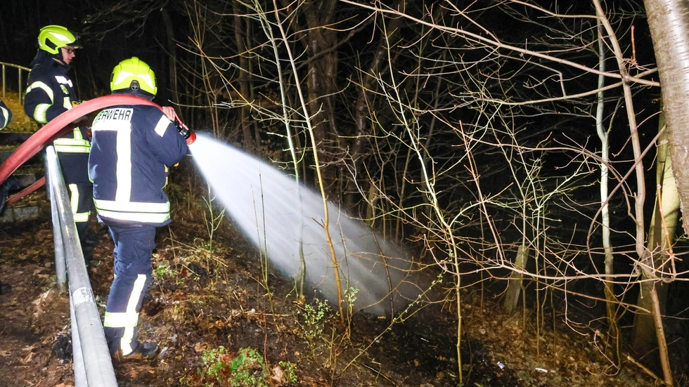 Der Boden eines kleinen Waldstücks war aus noch ungeklärter Ursache in Brand geraten. Der Boden eines kleinen Waldstücks war aus noch ungeklärter Ursache in Brand geraten.