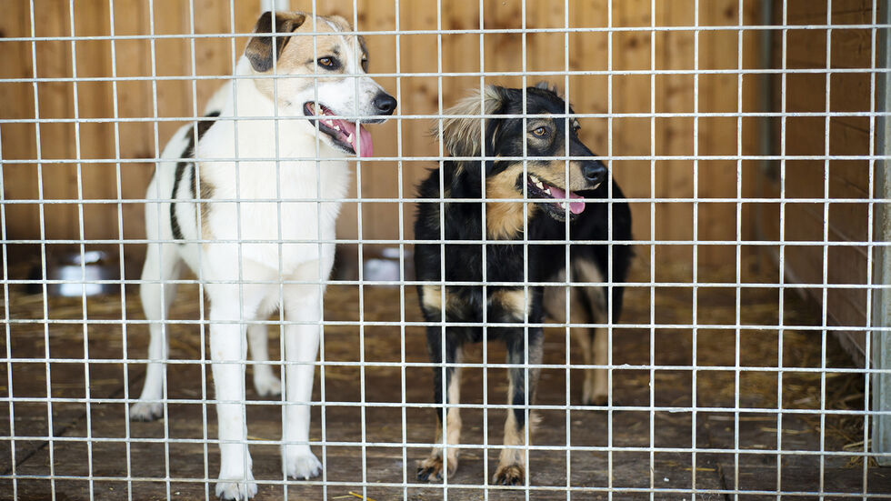 Symbolbild Symbolbild