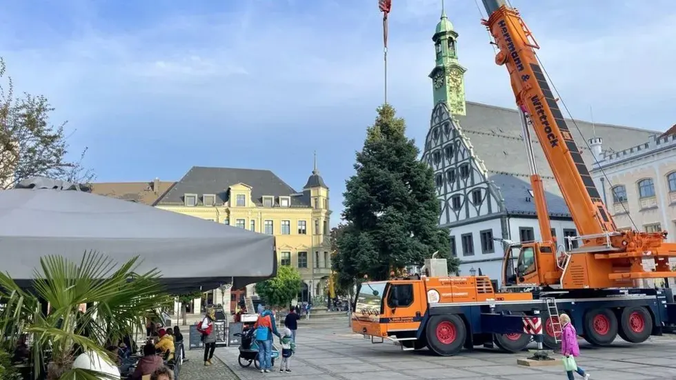 Aufstellen eines Zwickauer Weihnachtsbaumes