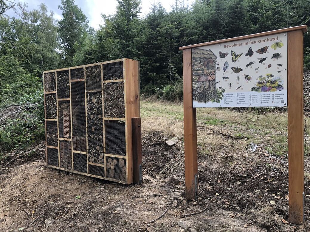 Station 2: Insektenhotel