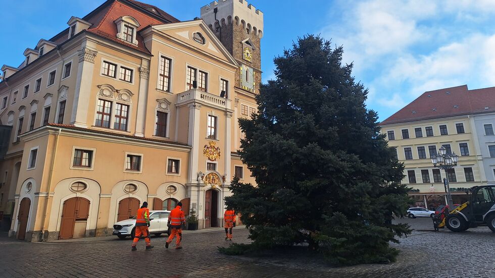 Wieder aufgerichtet - der umgesägte Weihnachtsbaum auf dem Löbauer Altmarkt Wieder aufgerichtet - der umgesägte Weihnachtsbaum auf dem Löbauer Altmarkt