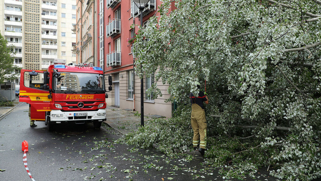 An der Freiberger Straße kippte ein Baum um.