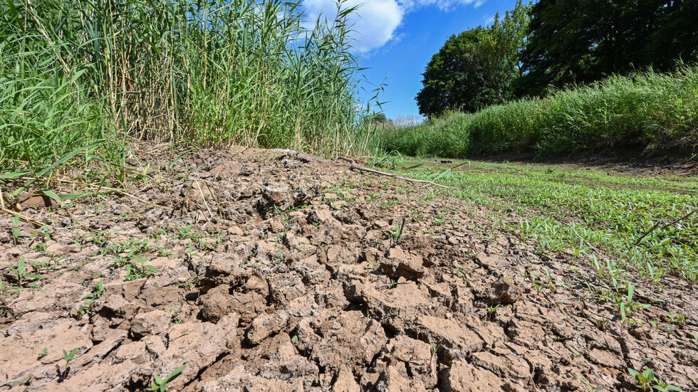 Die Schwarze Elster an der Landesgrenze zu Brandenburg