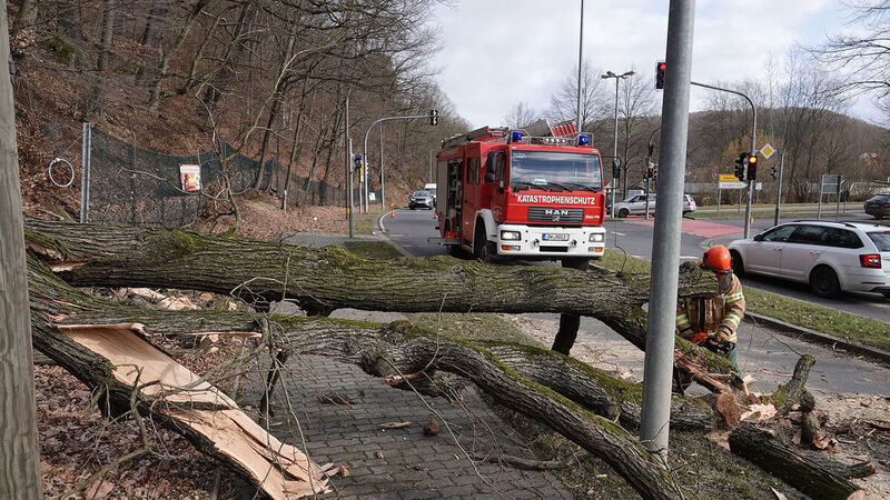 In Freital kippte ein Baum um und kappte dabei eine Telefonleitung.