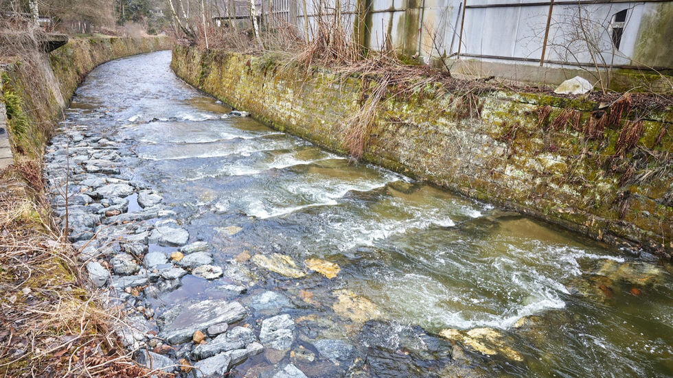 Umweltminister Wolfram Günther und Tilo Seidel (rechts) von der Landestalsperrenverwaltung