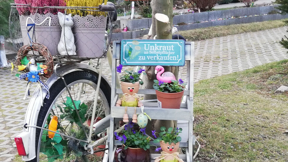 Diese Geschäftsidee gibt es schon - in Görlitz. 