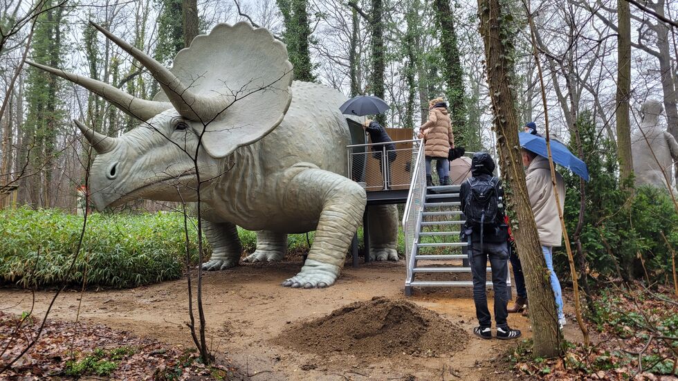 Hereinspaziert! Hereinspaziert!