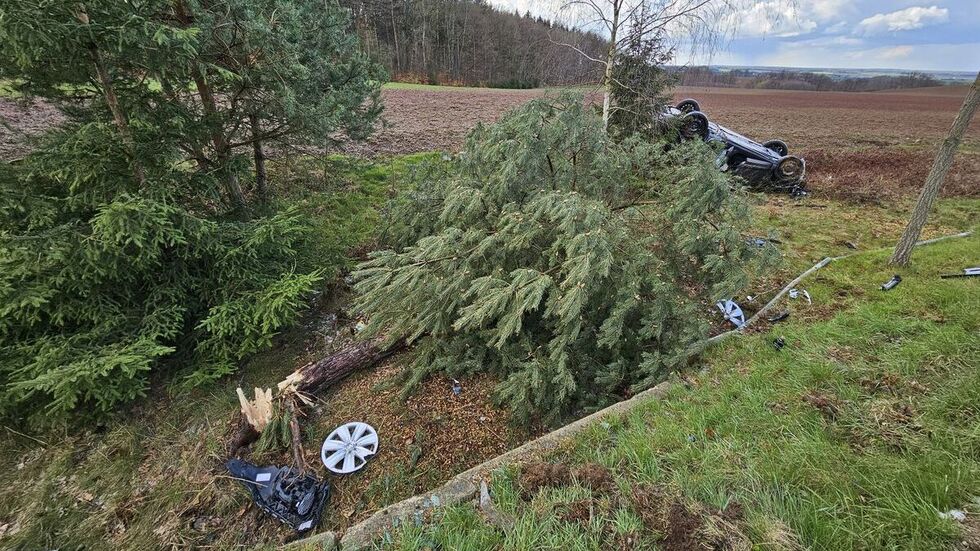 Auf seinem "Flug" aufs Feld fällte der Pkw einen Baum.