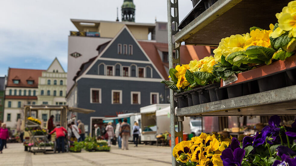 Archivbild eines früheren Frischemarkts auf dem Hauptmarkt