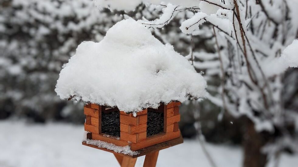 Bis ins Flachland ist der Winter zurück