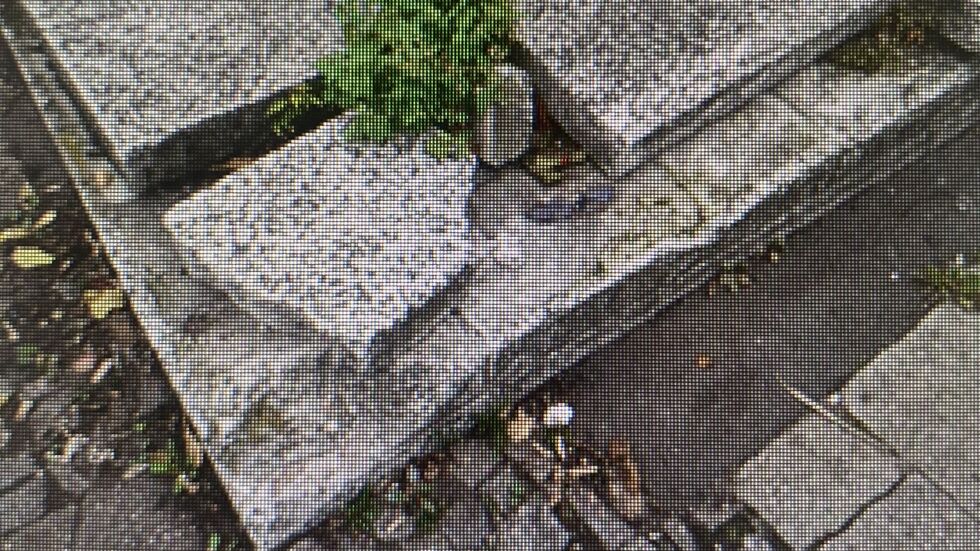 Beeteinfassungen auf dem Bayrischen Platz, das Bild ist erst vor einigen Tagen entstanden.
