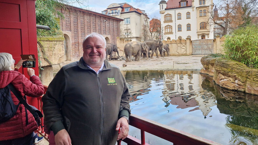 Leipzigs Zoo Direktor Prof. Jörg Junhold am Elefantengehege. Er befürchtet, dass demnächst auch beim Zoo der Rotstift angesetzt werden muss, da dieser ja eine städtische Einrichtung sei.