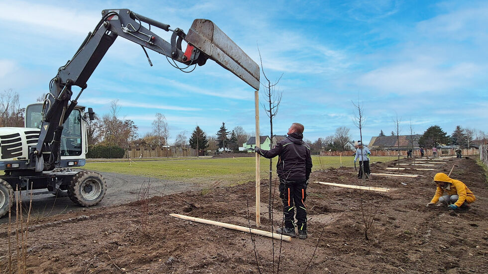 Große Pflanzaktion um den Parkplatz. 800
Sträucher und 50 Winterlinden begrünen
zukünftig die Parkfläche, bieten Schallschutz und
Lebensraum für verschiedene Tierarten. Große Pflanzaktion um den Parkplatz. 800
Sträucher und 50 Winterlinden begrünen
zukünftig die Parkfläche, bieten Schallschutz und
Lebensraum für verschiedene Tierarten.