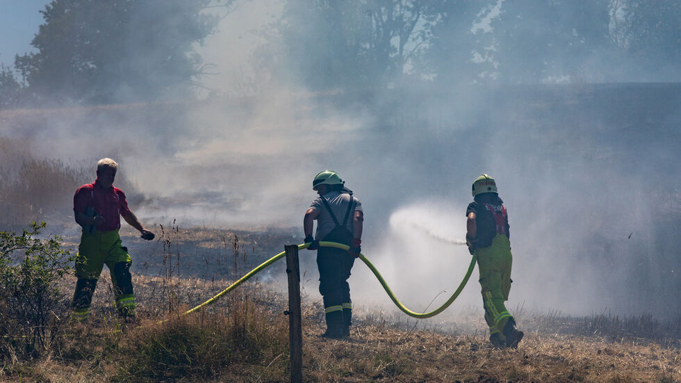 Über 60 Kameraden der umliegenden Feuerwehren kämpften gegen die Flammen. 