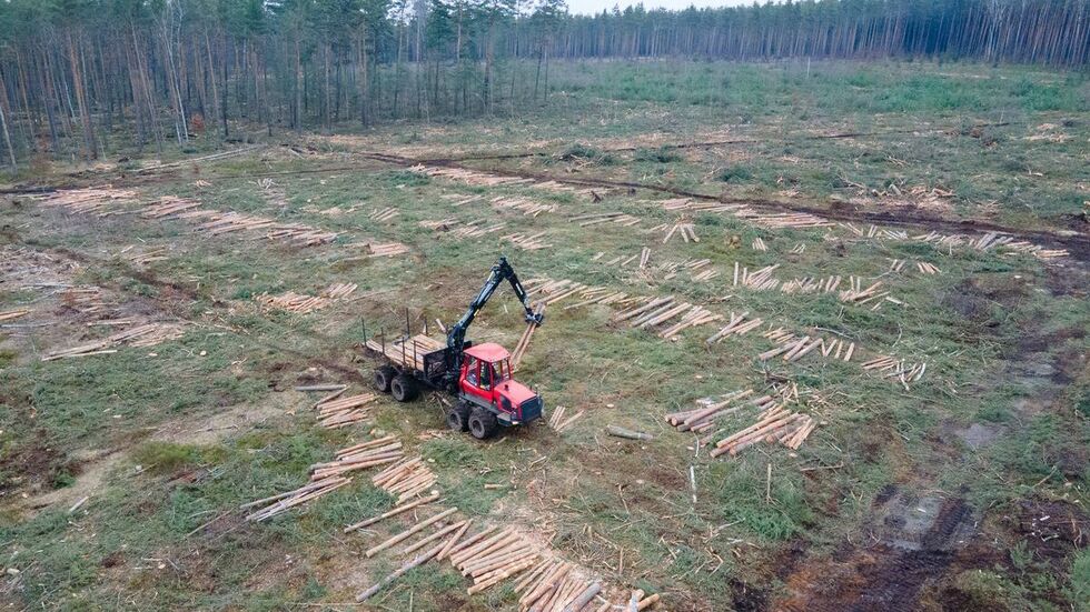 Fahrzeuge vom Staatsbetrieb Sachsenforst roden ein zuvor besetztes Waldstück im Heidebogen für den Kiesabbau.