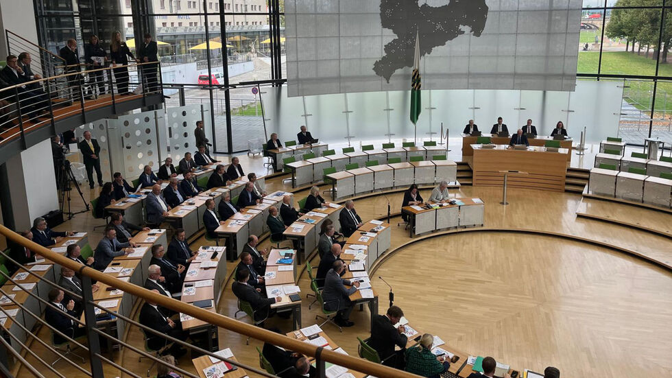 Das Parlament soll im März über die Diätenerhöhung entscheiden, die AfD-Fraktion ist u.a. dagegen