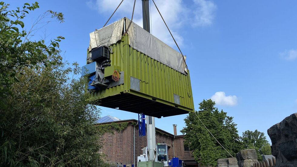 Die zwei Elefanten wurden in einem Container weggebracht. Die zwei Elefanten wurden in einem Container weggebracht.