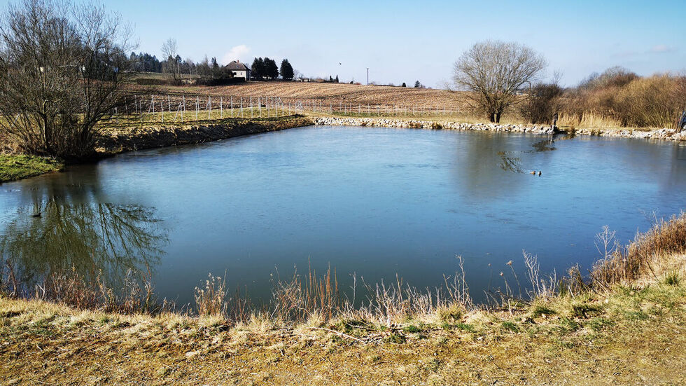 Mittlerer Teich im Kranzberggrund. 