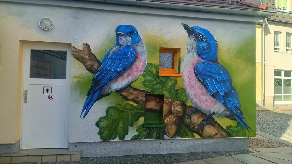 Zwei Blaumeisen auf einem Eichenast zieren jetzt das Toilettenhaus. 