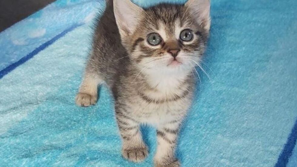 Ein Foto aus der Kinderstube. Ein Foto aus der Kinderstube.