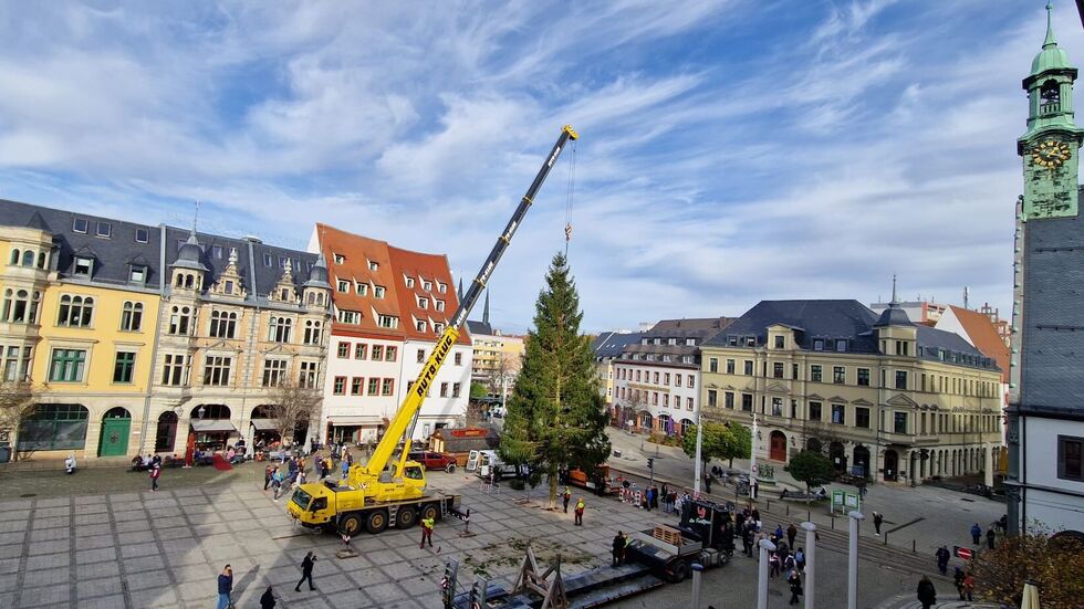 Mit einem Kran wurde der Baum aufgestellt.