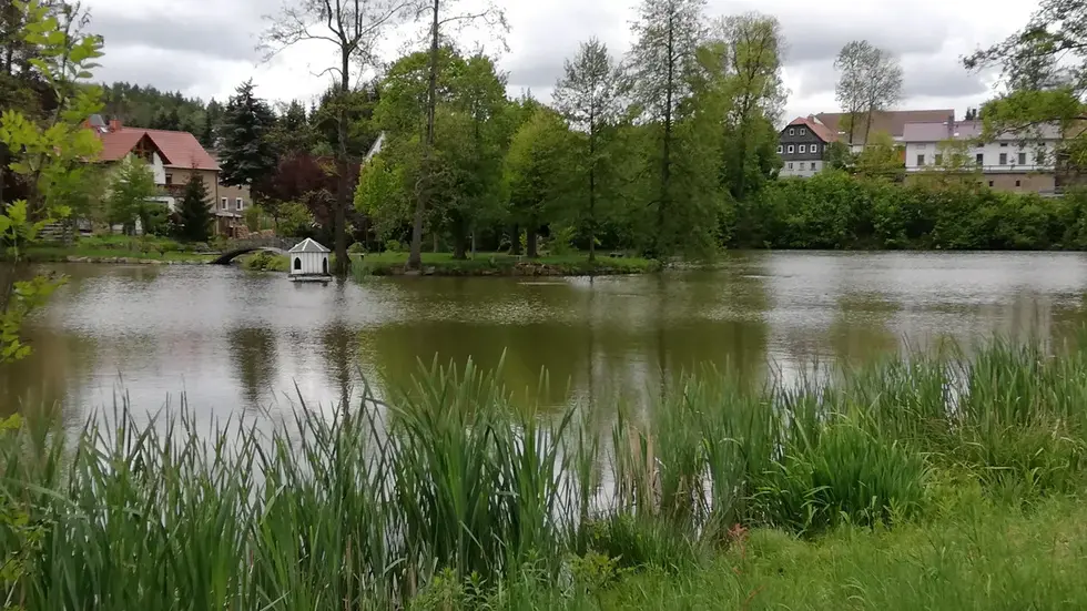 Insel der Liebe in Cunewalde Insel der Liebe in Cunewalde
