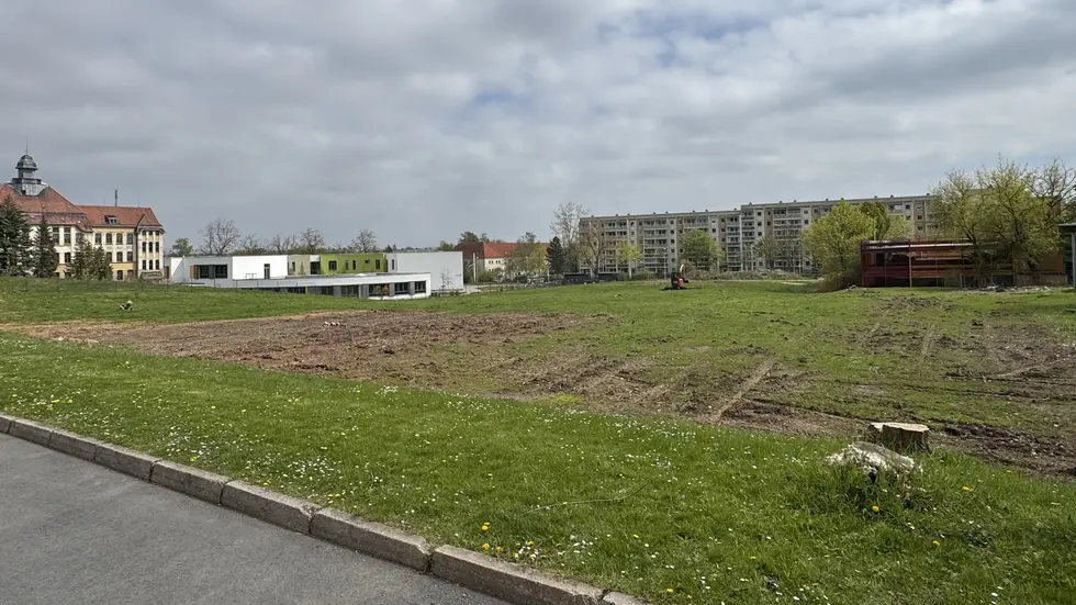Auf dieser Wiese wird die Halle ab August hochgezogen.