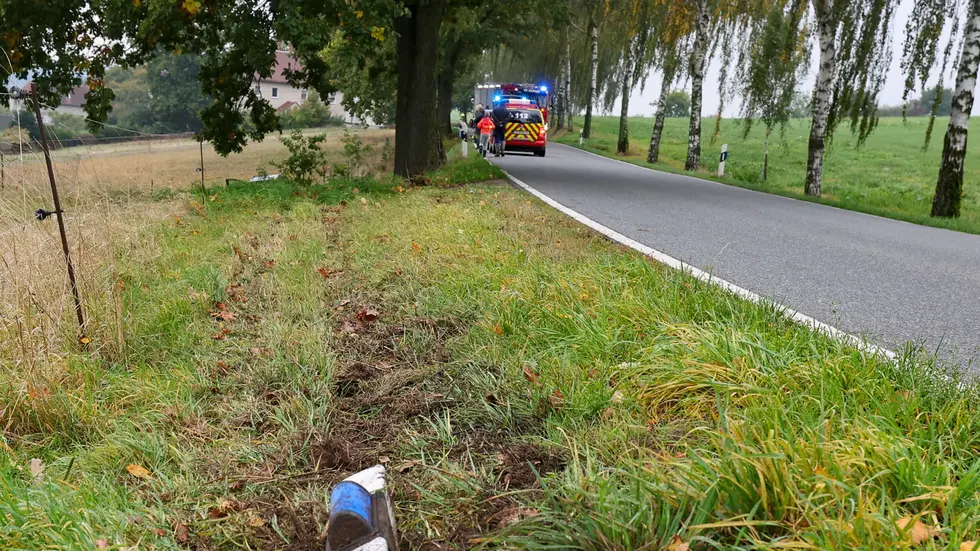 Der Fahrer hatte Glück, dass kein Straßenbaum im Weg stand. 