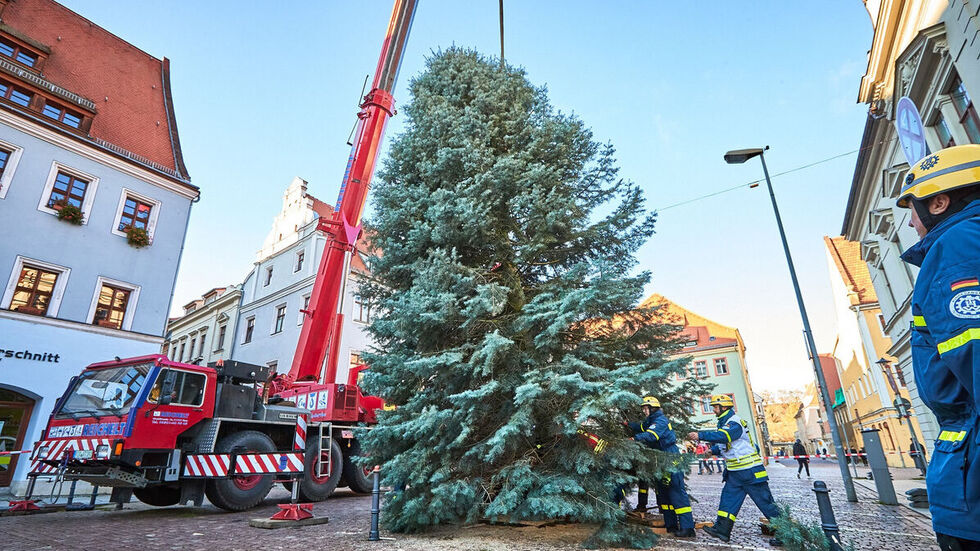 In Pirna stand auch 2021 ein Weihnachtsbaum - trotz abgesagten Markt. In diesem Jahr soll der Baum nebst Markt strahlen.