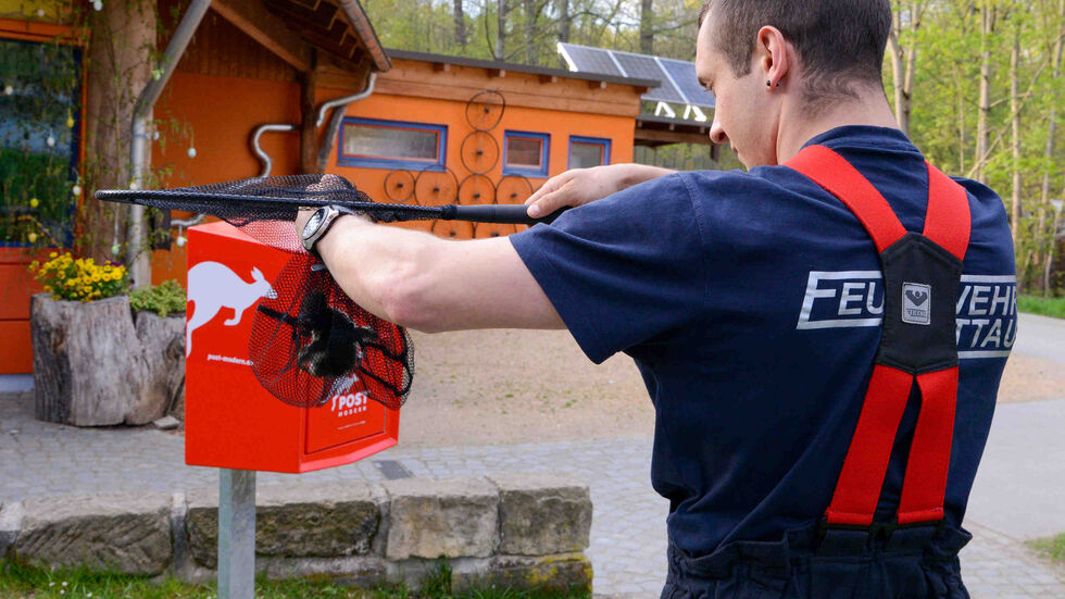 Mit kleinen Netzen konnte die kleinen Ausreißer eingefangen werden.