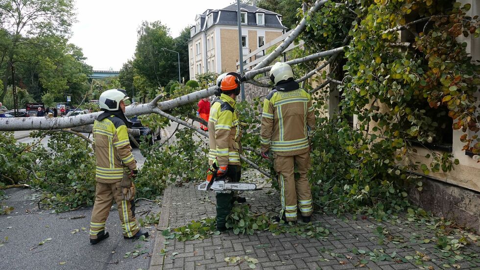 Die Feuerwehr rückte mit einer Kettensäge an.