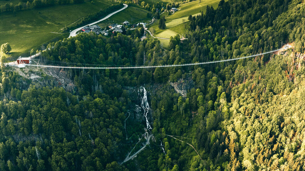 Die Todtnauer Brücke überspannt ein enges Schwarzwald-Tal und ist ein Besuchermagnet. Bald könnte so eine Brücke auch in Sachsen stehen.