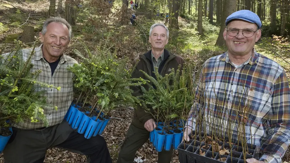 Karl Schwald, Initiator der Aktion, Förster Torsten Winkler und Thomas Westphalen vom Landesverein Sächsischer Heimatschutz (v.l.) Karl Schwald, Initiator der Aktion, Förster Torsten Winkler und Thomas Westphalen vom Landesverein Sächsischer Heimatschutz (v.l.)