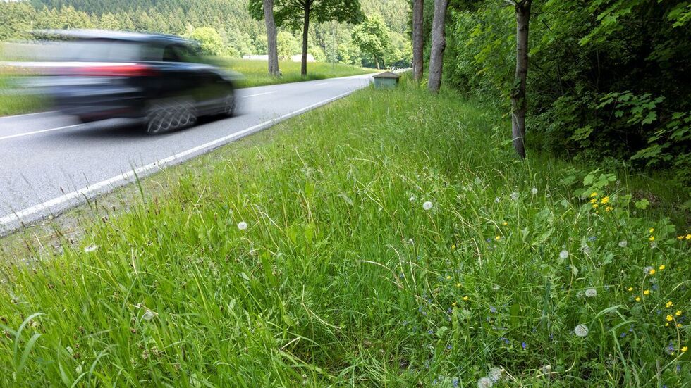 Hier am Straßenrand wurde der Radfahrer gefunden.
