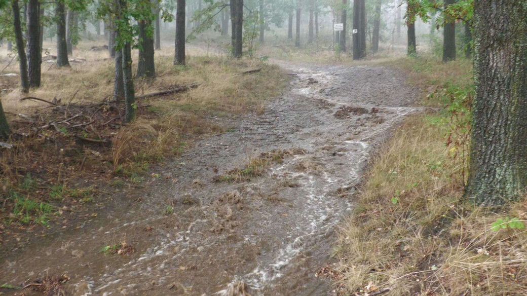 Waldwege wurden überschwemmt.