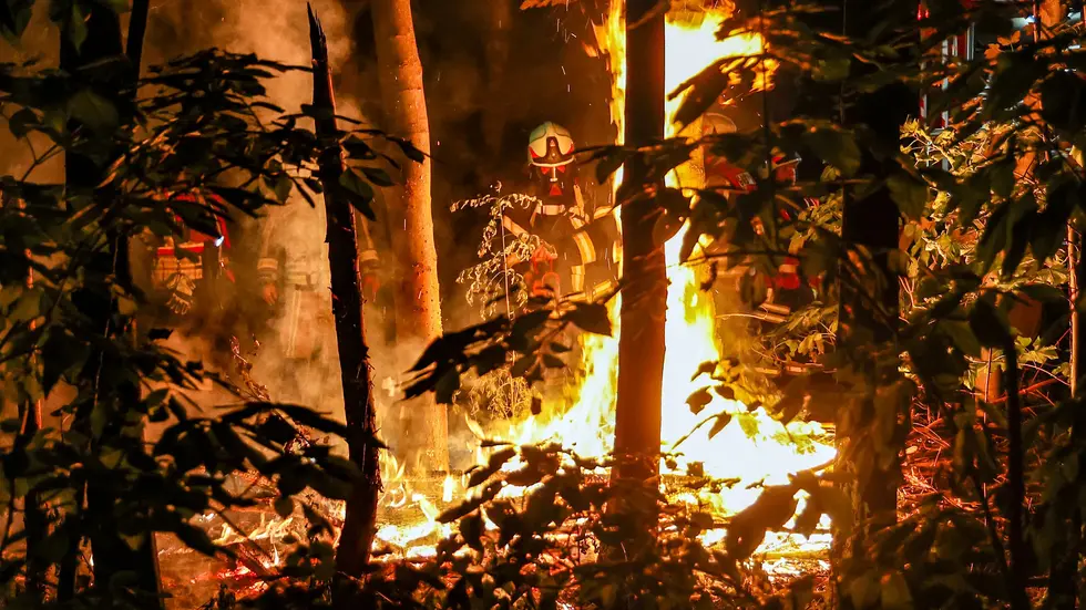 Nachts brennt es im Wald „Am Ochsenborn“ in Hohenstein-Ernstthal. Keine 100 Meter entfernt von der Autobahn A4 und in unmittelbarer Nähe zum Oberwald.