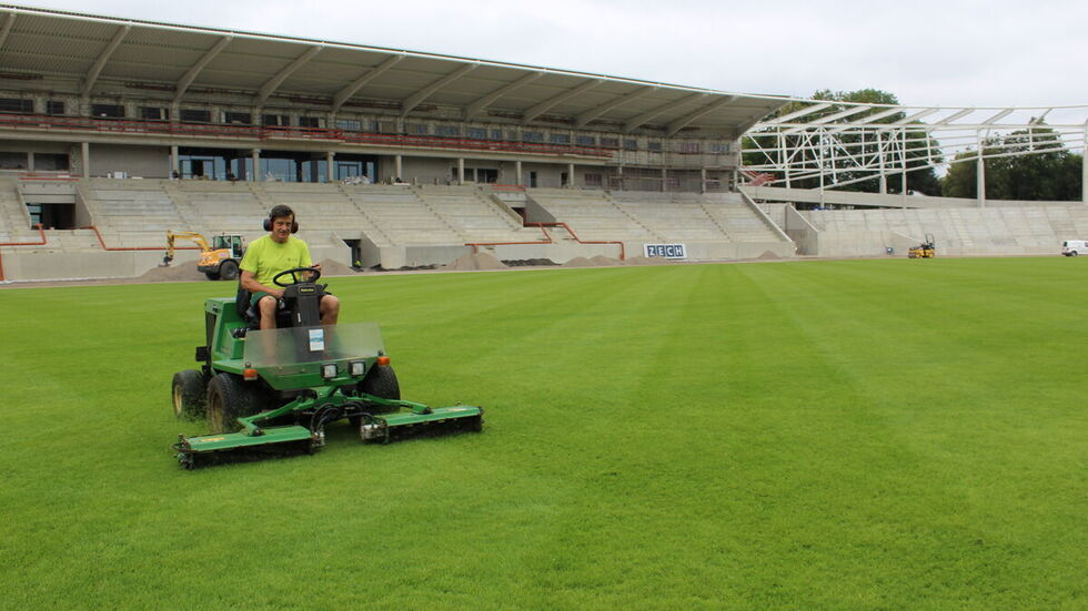 Platzwart beim Mähen auf dem neuen Rasen im Heinz-Steyer-Stadion.