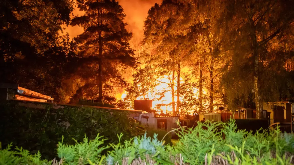 Mehrere Gartenhütten direkt am Wald standen in Vollbrand.