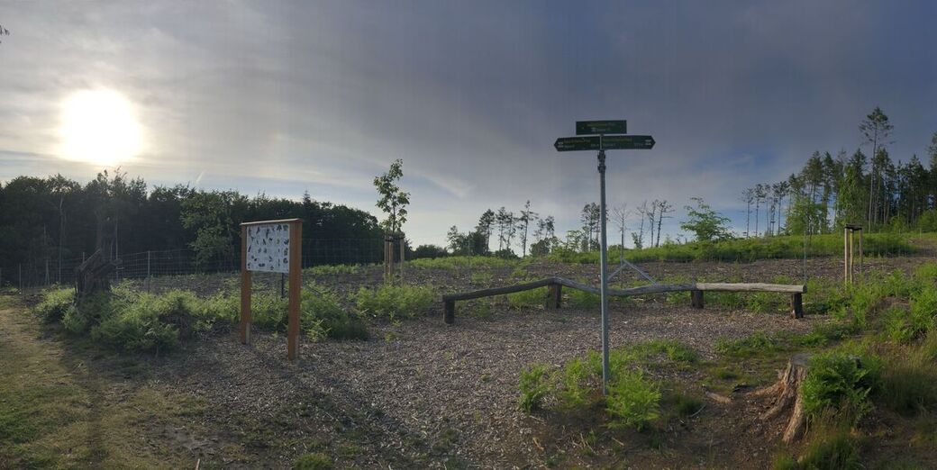 Balancieren an Station 10.